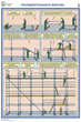 ПС26 Строительные леса (конструкции, монтаж, проверка на безопасность) (ламинированная бумага, А2, 3 листа) - Плакаты - Строительство - Магазин охраны труда ИЗО Стиль